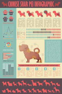 Köpek infografik. Vektör toplama.