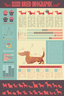 Köpek infografik. Vektör toplama.