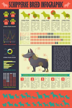 Köpek infografik. Vektör toplama.