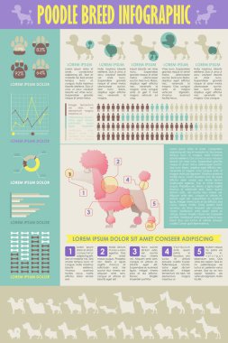 Köpek infografik. Vektör toplama.