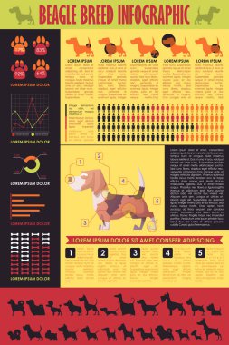 Köpek infografik. Vektör toplama.