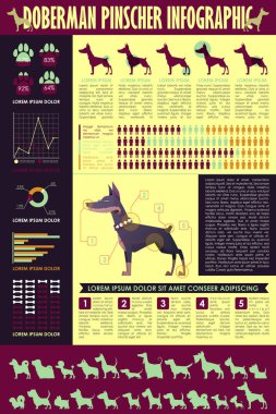 Köpek infografik. Vektör toplama.