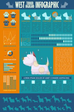 Köpek infografik. Vektör toplama.