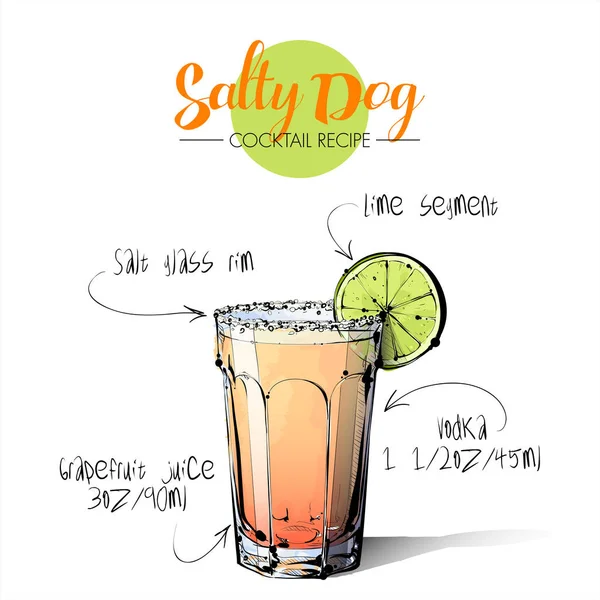 Hand drawn illustration of cocktail Salty dog. Vector collection — Stock Vector