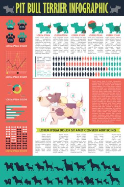 Köpek infografik. Vektör toplama.