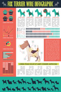 Köpek infografik. Vektör toplama.