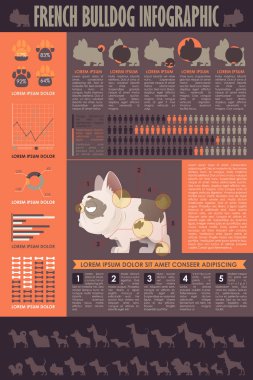 Köpek infografik. Vektör toplama.