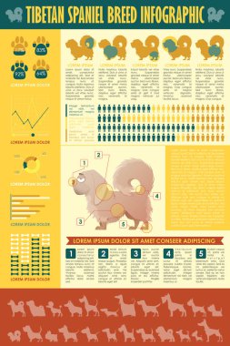 Köpek infografik. Vektör toplama.