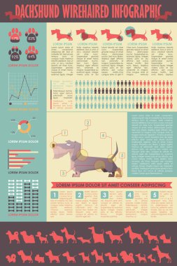 Köpek infografik. Vektör toplama.
