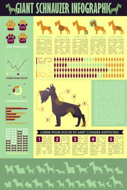 Köpek infografik. Vektör toplama.
