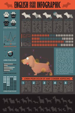 Köpek infografik. Vektör toplama.