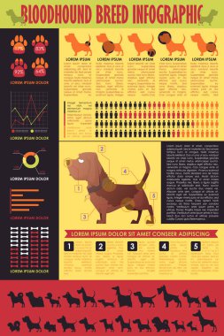 Köpek infografik. Vektör toplama.