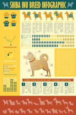Köpek infografik. Vektör toplama.