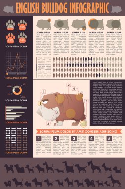 Köpek infografik. Vektör toplama.
