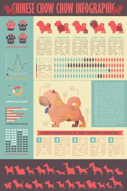 Köpek infografik. Vektör toplama.