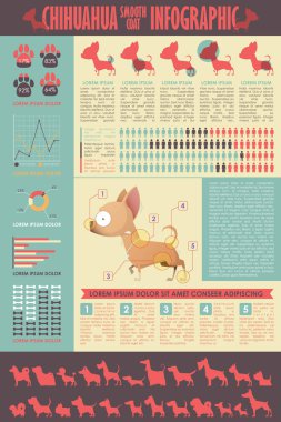 Köpek infografik. Vektör toplama.