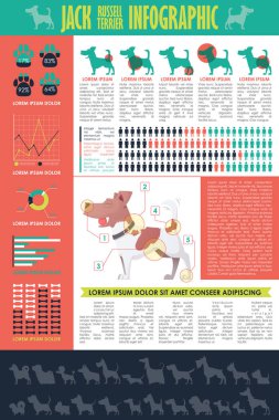 Köpek infografik. Vektör toplama.