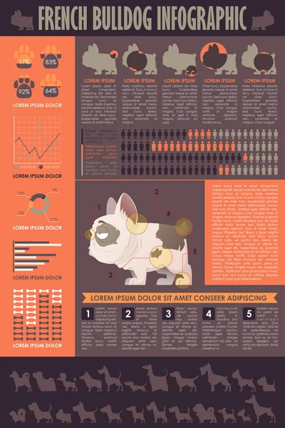 Köpek infografik. Vektör toplama.
