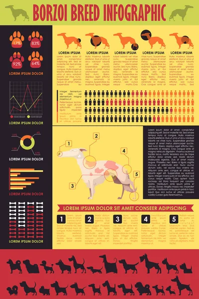 Hond infographic. Vector collectie. — Stockvector