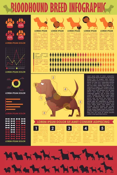 Köpek infografik. Vektör toplama.