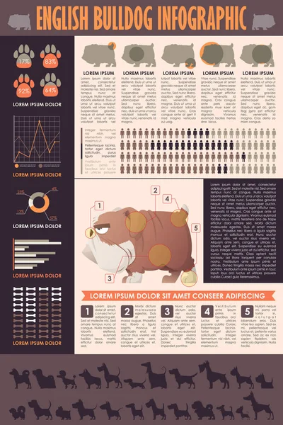 Köpek infografik. Vektör toplama.