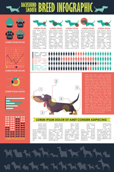 Köpek infografik. Vektör toplama.