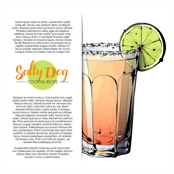 kokteyl el çekilmiş resmi. vektör toplama.