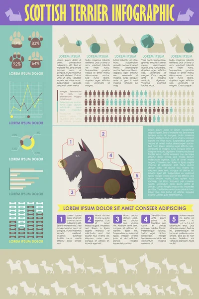 Köpek infografik. Vektör toplama.