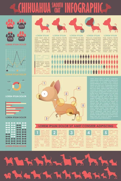 Infographie canine. Collecte vectorielle . — Image vectorielle
