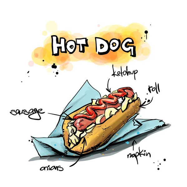Cool tasty hot dog. Sketch + watercolor style. Vector illustrati — Stock Vector