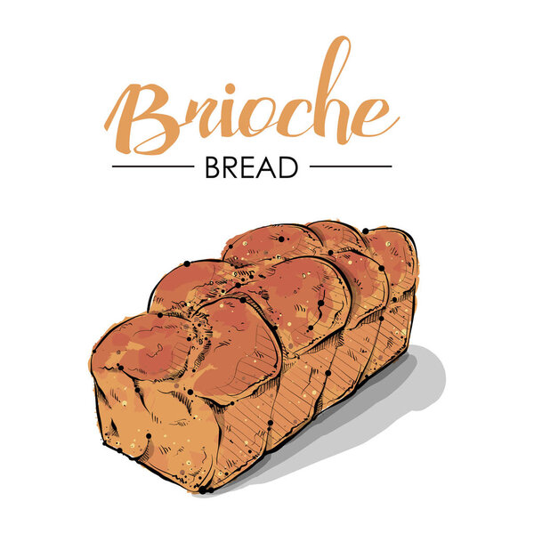 Brioche bread drawing. Sketch style. Vector.