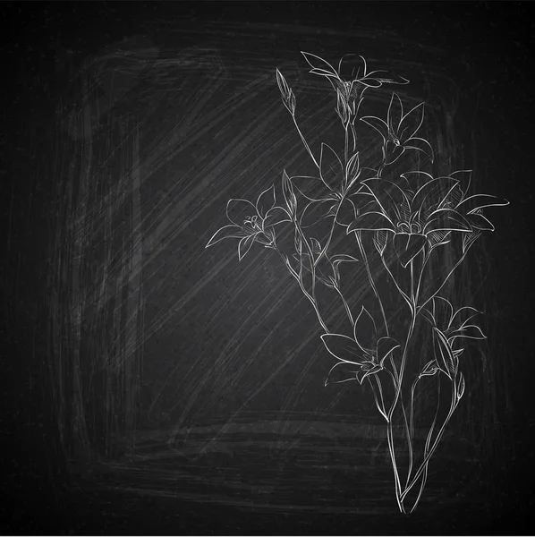 Hand dragning av blommor på en Chalkboard. Vektor samling. — Stock vektor
