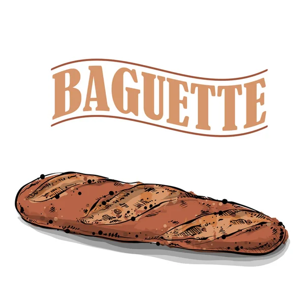 Dessin au pain Baguette. Style croquis. Vecteur . — Image vectorielle