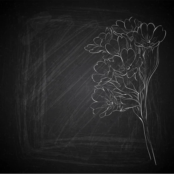 วาดดอกไม้ด้วยมือบนแผ่นจารึก คอลเลกชันเวกเตอร์ . — ภาพเวกเตอร์สต็อก