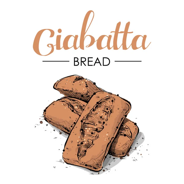 Малюнок хліба. Ескізний стиль хлібного малюнка Чабатта. Стиль ескізу . — стоковий вектор