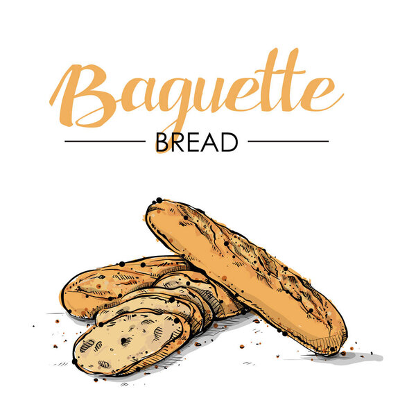 Baguette Bread drawing. Sketch style. Vector.