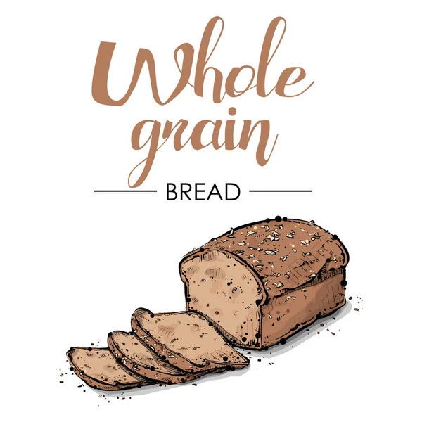 Whole grain bread drawing. Sketch style. Vector. — Stock Vector