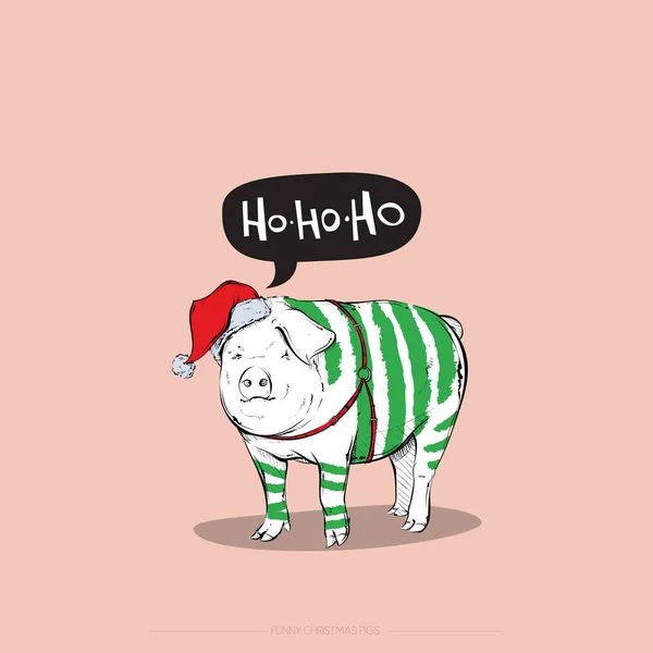 Funny Christmas pig. Vector collection. — Stock Vector