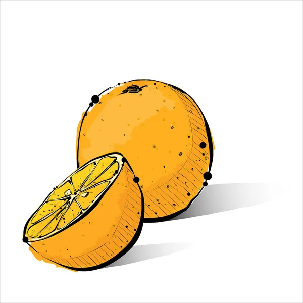 Disegno a mano di arancione. Illustrazione vettoriale . — Vettoriale Stock