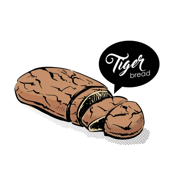 Tijger brood tekening. Schets stijl. Vector. — Stockvector