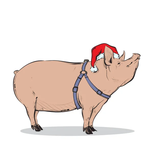 Cute Cartoon Pig Santa Hat White — Stock Vector