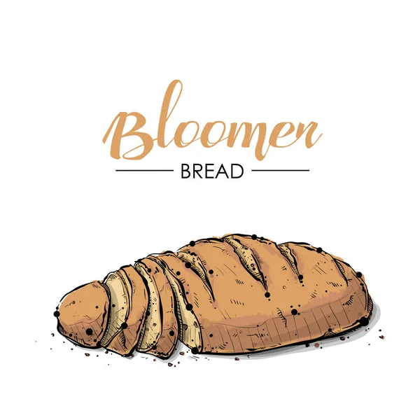 Bloomer kenyér rajz. Vázlat stílus. Vektor. — Stock Vector