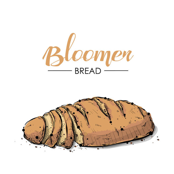Bloomer bread drawing. Sketch style. Vector.