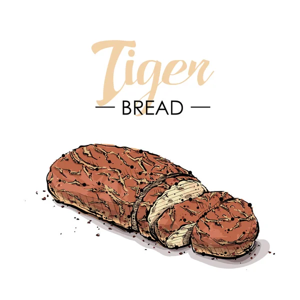 Tijger brood tekening. Schets stijl. Vector. — Stockvector