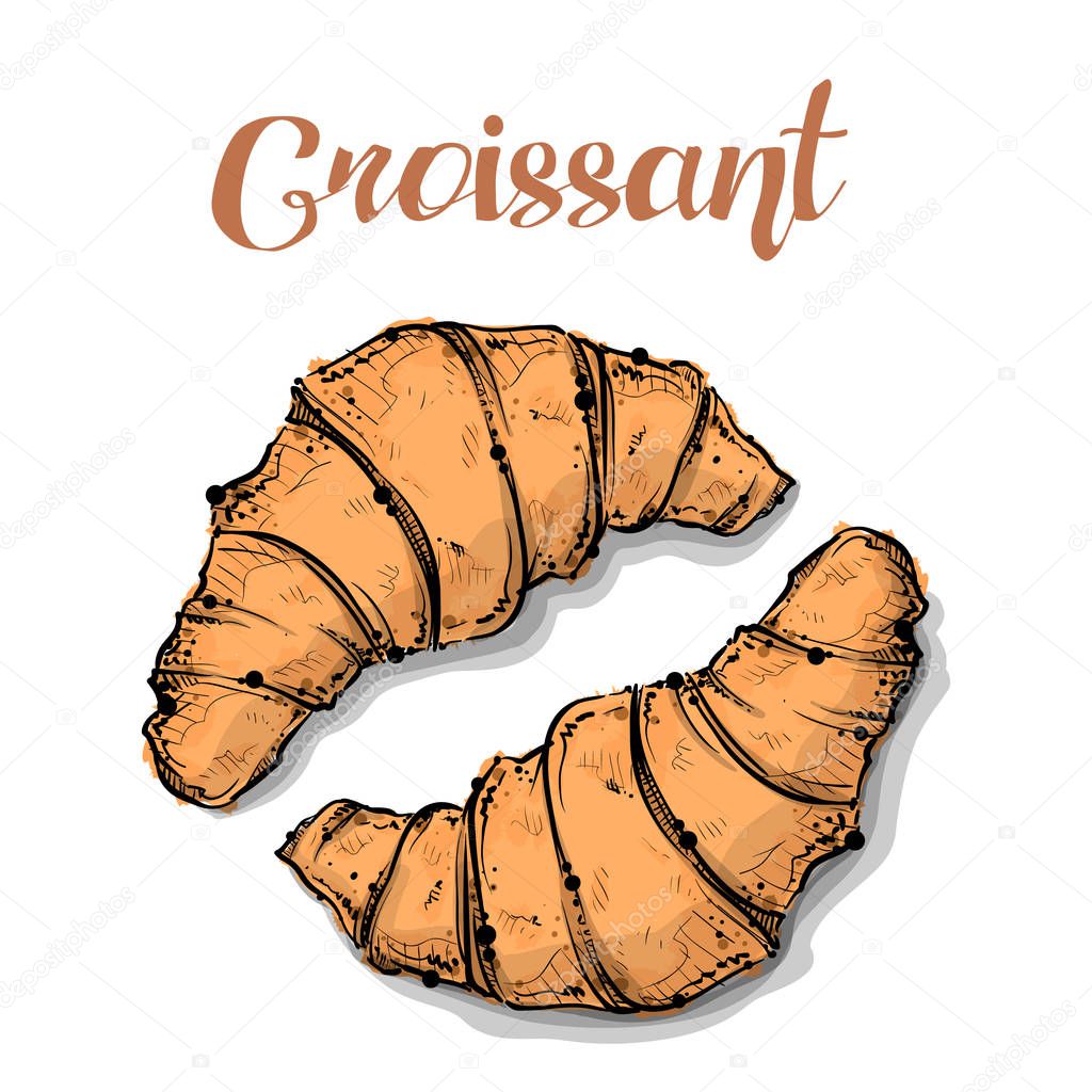 Croissant bread drawing. Sketch style. Vector.