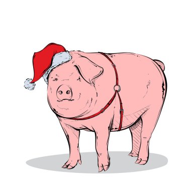 beyaz santa şapka sevimli karikatür domuz 