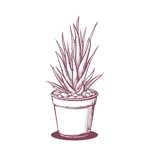 Corte vectorial de cactus . — Archivo Imágenes Vectoriales