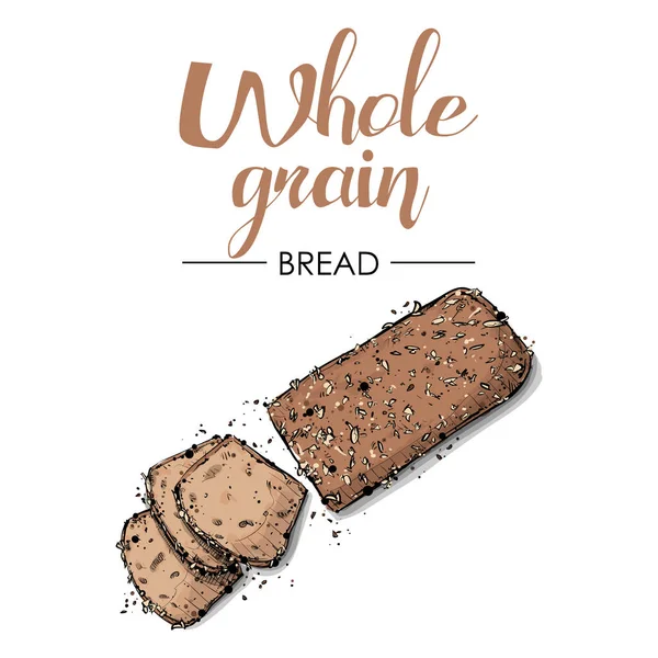 Whole grain bread drawing. Sketch style. Vector. — Stock Vector