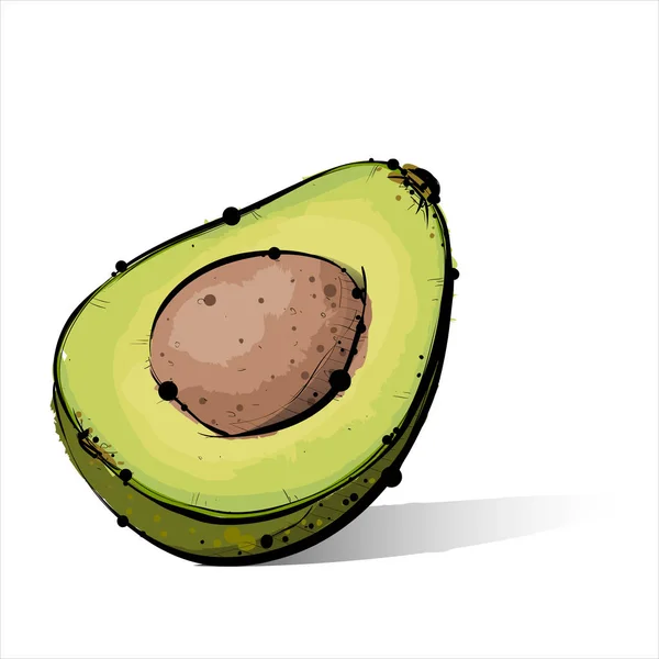 Handdragning av avokado. Vektor illustration. — Stock vektor