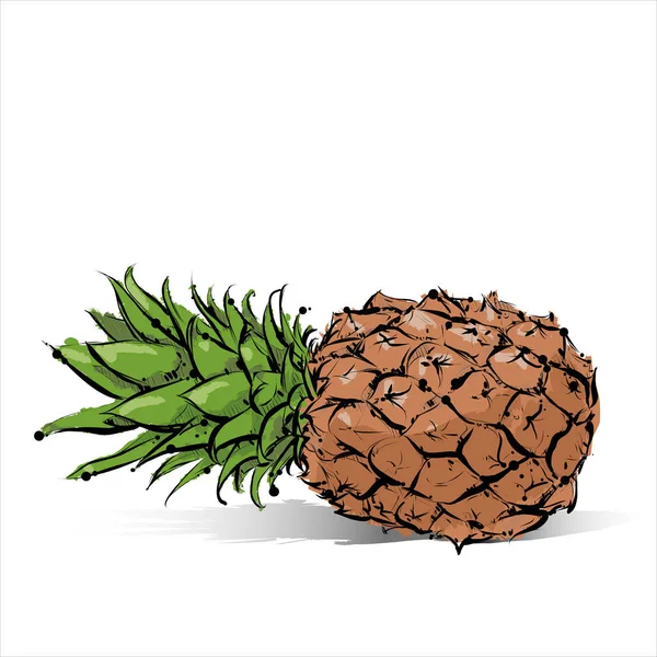Ręczne rysowanie ananasa. Ilustracja wektorowa. — Wektor stockowy